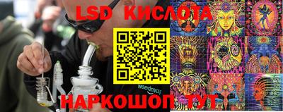 ECSTASY Кохма
